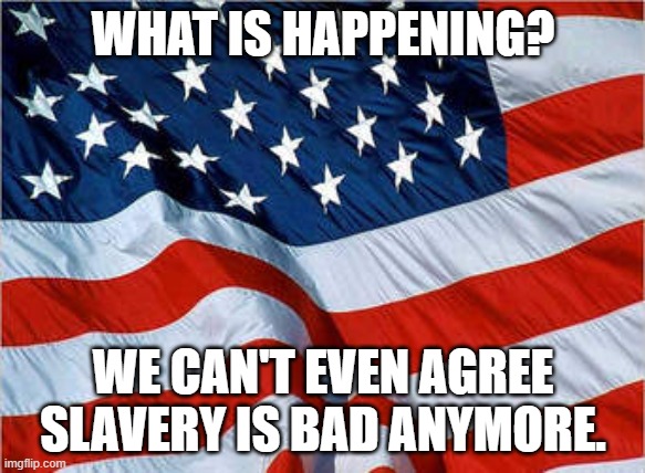 USA Flag | WHAT IS HAPPENING? WE CAN'T EVEN AGREE SLAVERY IS BAD ANYMORE. | image tagged in usa flag | made w/ Imgflip meme maker
