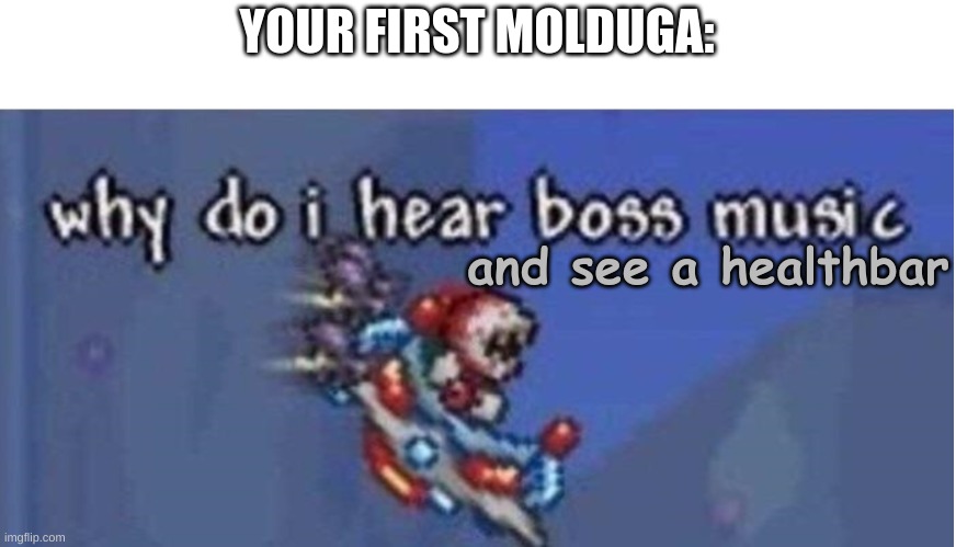 "why is that sand moving- WHY IS THERE A QUESTION MARK ON IT-" | YOUR FIRST MOLDUGA:; and see a healthbar | image tagged in why do i hear boss music,molduga,the legend of zelda breath of the wild | made w/ Imgflip meme maker