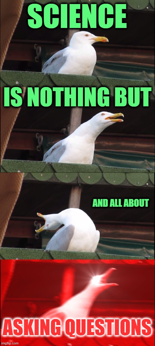 Science is not about Trusting | SCIENCE; IS NOTHING BUT; AND ALL ABOUT; ASKING QUESTIONS | image tagged in memes,inhaling seagull | made w/ Imgflip meme maker