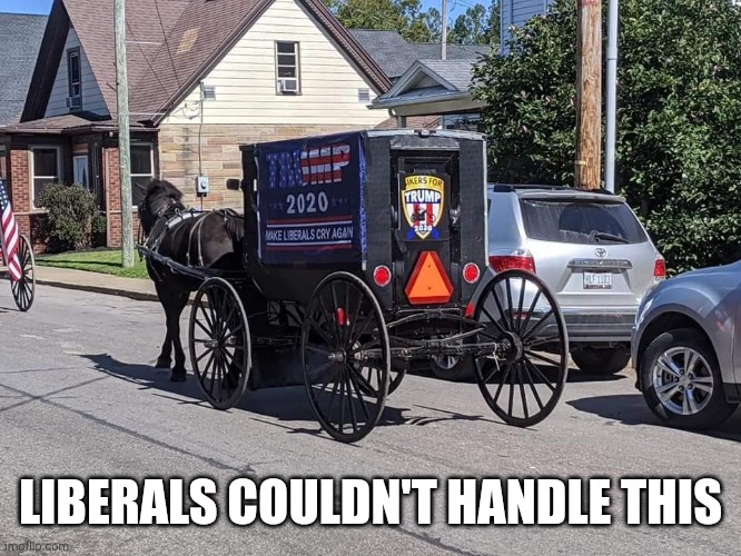 LIBERALS COULDN'T HANDLE THIS | made w/ Imgflip meme maker