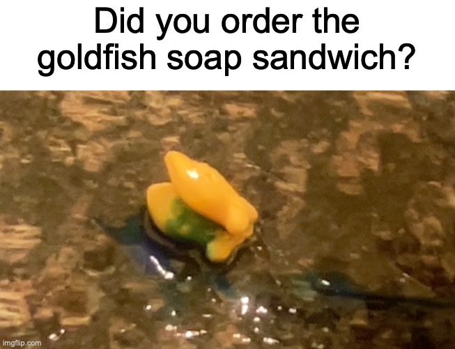 This is my own cursed image >:] | Did you order the goldfish soap sandwich? | image tagged in cursed image | made w/ Imgflip meme maker