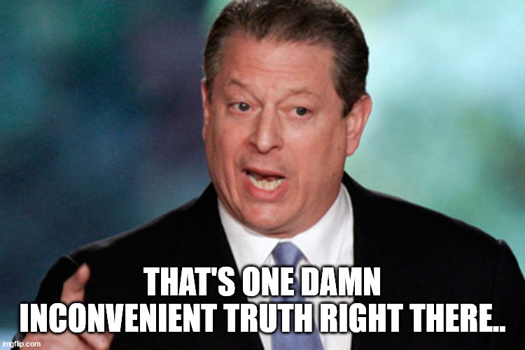 THAT'S ONE DAMN INCONVENIENT TRUTH RIGHT THERE.. | made w/ Imgflip meme maker