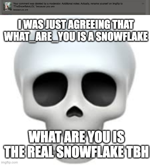 what_are_you sucks | I WAS JUST AGREEING THAT WHAT_ARE_YOU IS A SNOWFLAKE; WHAT ARE YOU IS THE REAL SNOWFLAKE TBH | image tagged in skull | made w/ Imgflip meme maker