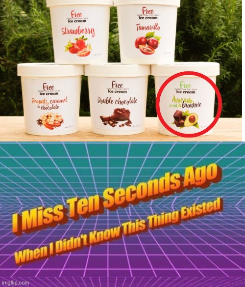 Avocado, mint, and brownie flavor? *shudder* | image tagged in ice cream,wtf,i miss ten seconds ago,ewwww,cursed image,why are you reading the tags | made w/ Imgflip meme maker