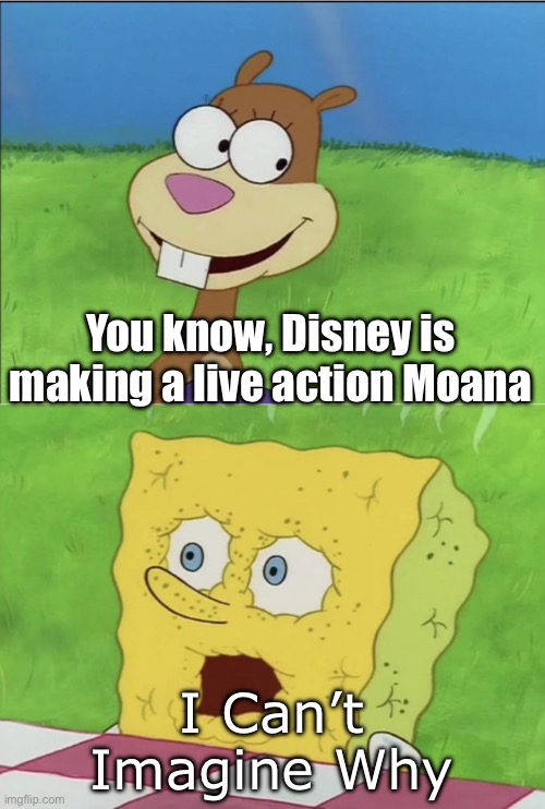 You Know, You’re the First Sea Creature to Ever Visit | You know, Disney is making a live action Moana; I Can’t Imagine Why | image tagged in you know you re the first sea creature to ever visit | made w/ Imgflip meme maker