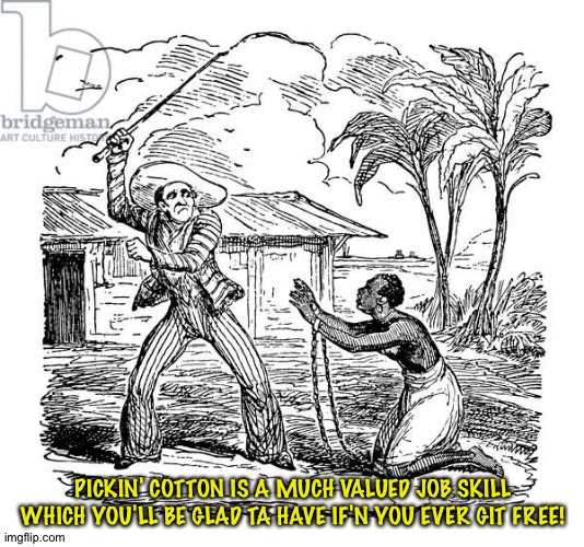 Slave Owner | PICKIN' COTTON IS A MUCH VALUED JOB SKILL WHICH YOU'LL BE GLAD TA HAVE IF'N YOU EVER GIT FREE! | image tagged in slave owner | made w/ Imgflip meme maker