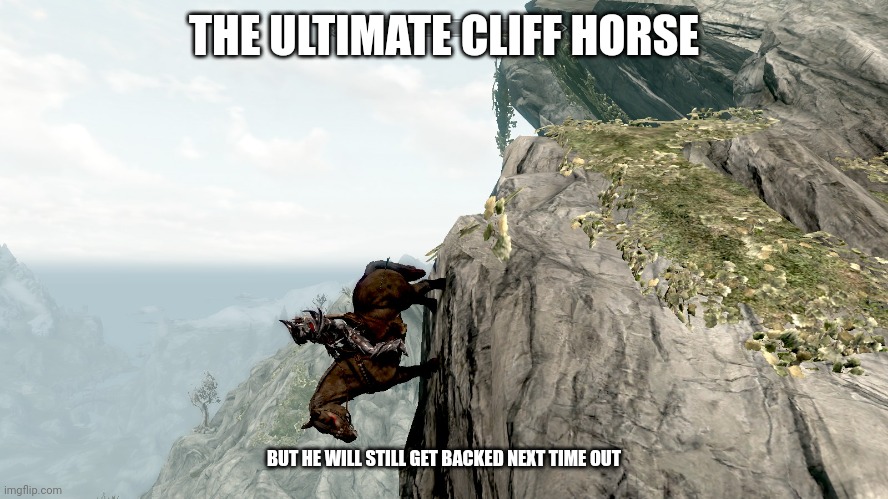 Skyrim Horse | THE ULTIMATE CLIFF HORSE; BUT HE WILL STILL GET BACKED NEXT TIME OUT | image tagged in skyrim horse | made w/ Imgflip meme maker