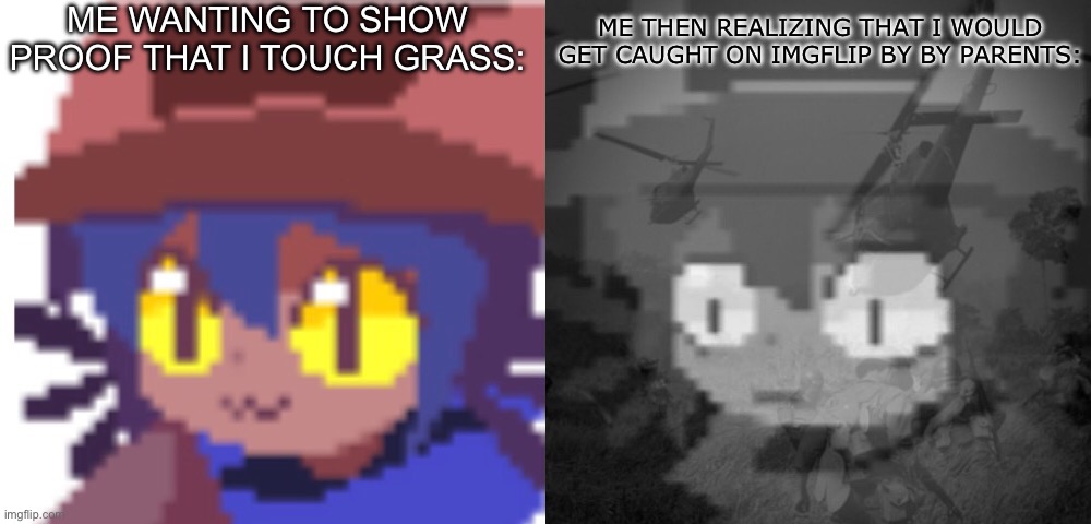 ME WANTING TO SHOW PROOF THAT I TOUCH GRASS:; ME THEN REALIZING THAT I WOULD GET CAUGHT ON IMGFLIP BY BY PARENTS: | image tagged in ptsd niko | made w/ Imgflip meme maker