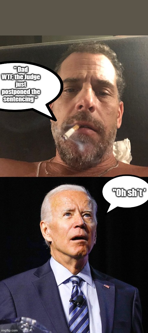 WTF | " Dad WTF, the Judge just postponed the sentencing "; "Oh sh*t ' | image tagged in hunter biden,joe biden,democrats,criminals | made w/ Imgflip meme maker