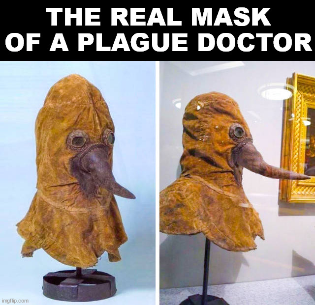 THE REAL MASK OF A PLAGUE DOCTOR | made w/ Imgflip meme maker