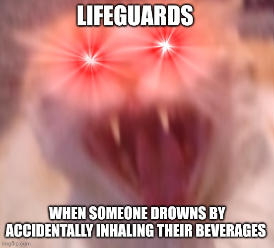 When their beverages drown them | LIFEGUARDS; WHEN SOMEONE DROWNS BY ACCIDENTALLY INHALING THEIR BEVERAGES | image tagged in angry cat | made w/ Imgflip meme maker