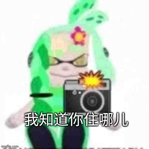 Mint with Chinese text | image tagged in mint with chinese text | made w/ Imgflip meme maker
