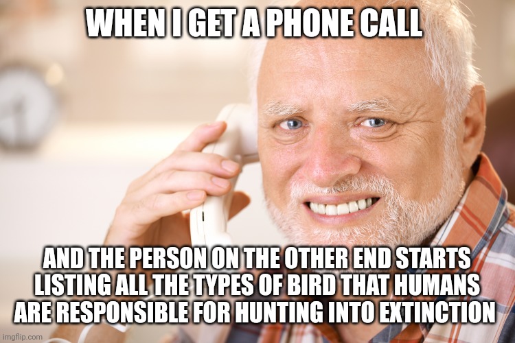 So many birds | WHEN I GET A PHONE CALL; AND THE PERSON ON THE OTHER END STARTS LISTING ALL THE TYPES OF BIRD THAT HUMANS ARE RESPONSIBLE FOR HUNTING INTO EXTINCTION | image tagged in hide the pain harold phone | made w/ Imgflip meme maker