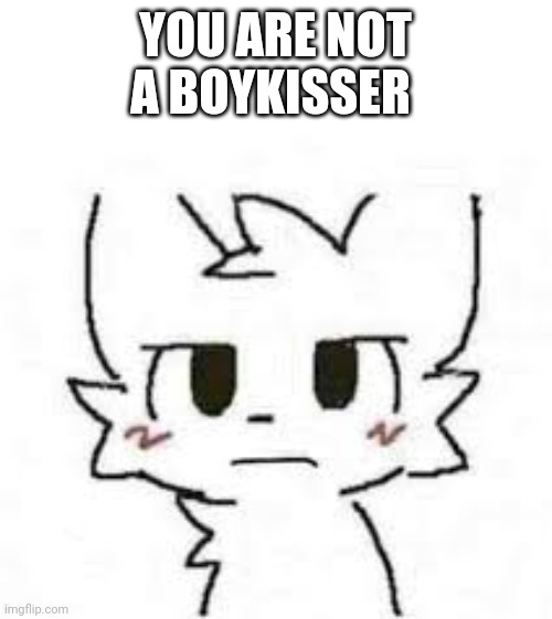 Dissatisfied boy kisser | YOU ARE NOT A BOYKISSER | image tagged in dissatisfied boy kisser | made w/ Imgflip meme maker