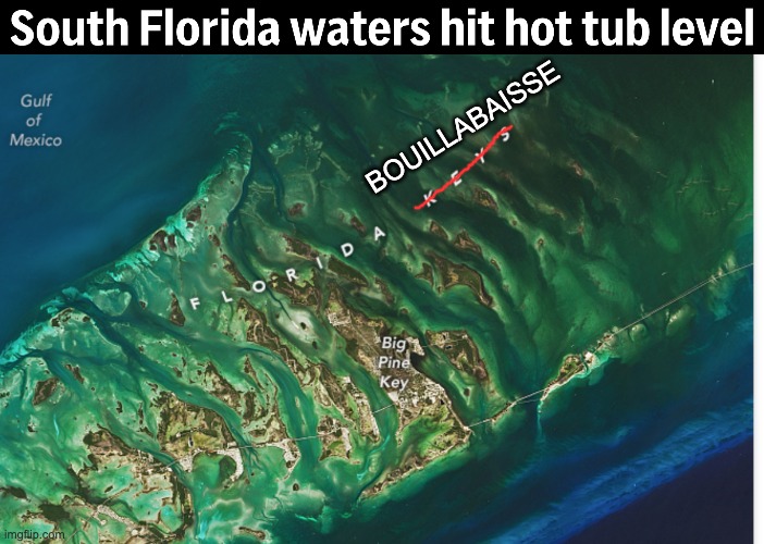 Well, at least there's soup | BOUILLABAISSE | image tagged in climate change,florida,ocean | made w/ Imgflip meme maker
