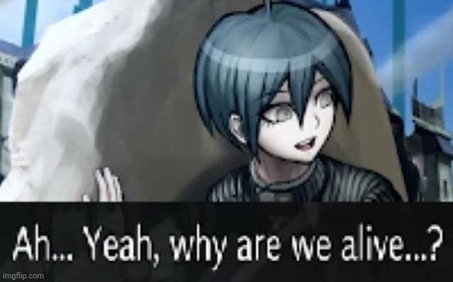 Why are we? | image tagged in why are we | made w/ Imgflip meme maker