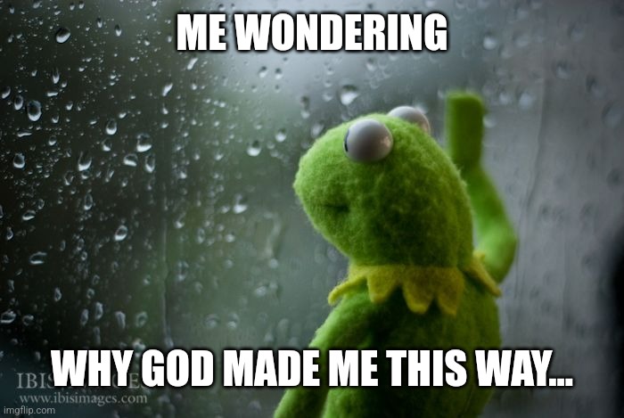 kermit window | ME WONDERING WHY GOD MADE ME THIS WAY... | image tagged in kermit window | made w/ Imgflip meme maker