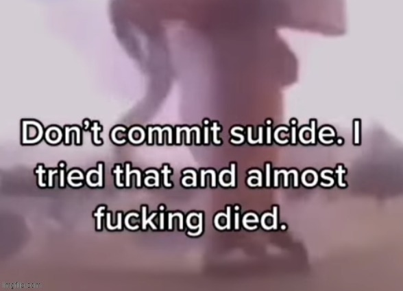 dont commit suicide | image tagged in dont commit suicide | made w/ Imgflip meme maker