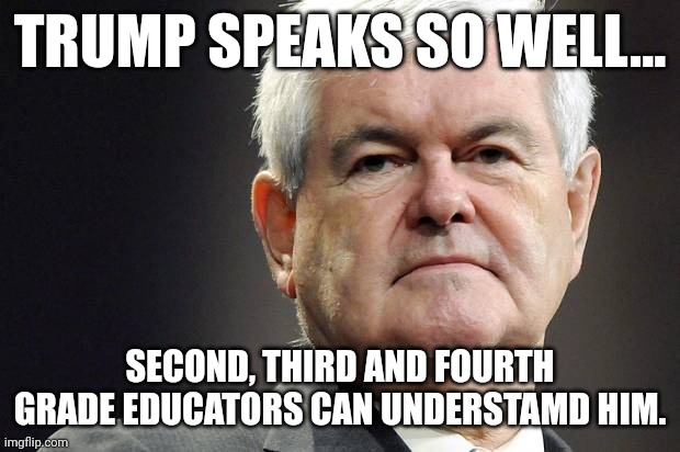 Well you got that right newt! | TRUMP SPEAKS SO WELL... SECOND, THIRD AND FOURTH GRADE EDUCATORS CAN UNDERSTAMD HIM. | image tagged in newt gingrich | made w/ Imgflip meme maker