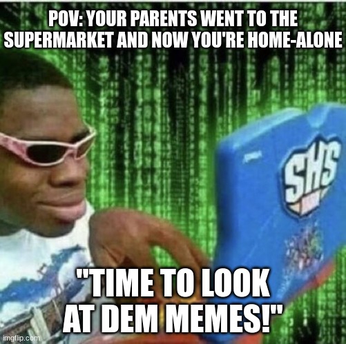 Memes r the best! | POV: YOUR PARENTS WENT TO THE SUPERMARKET AND NOW YOU'RE HOME-ALONE; "TIME TO LOOK AT DEM MEMES!" | image tagged in ryan beckford,relatable memes,pov | made w/ Imgflip meme maker