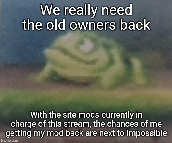 Frogoon | We really need the old owners back; With the site mods currently in charge of this stream, the chances of me getting my mod back are next to impossible | image tagged in frogoon | made w/ Imgflip meme maker