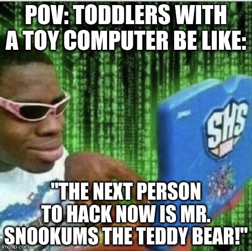Am I right, or am I right? | POV: TODDLERS WITH A TOY COMPUTER BE LIKE:; "THE NEXT PERSON TO HACK NOW IS MR. SNOOKUMS THE TEDDY BEAR!" | image tagged in ryan beckford,evil toddler,pov | made w/ Imgflip meme maker