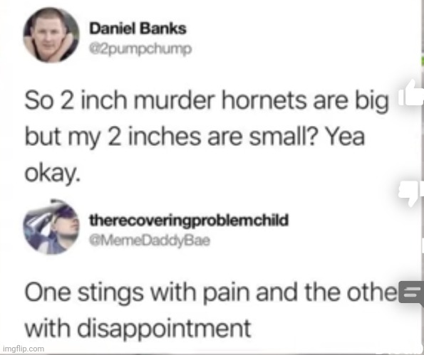#2,877 | image tagged in insults,roasted,pp,murder hornets,pain,dissapointed | made w/ Imgflip meme maker
