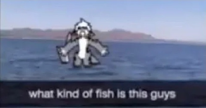 What kind of fish is this Blank Meme Template