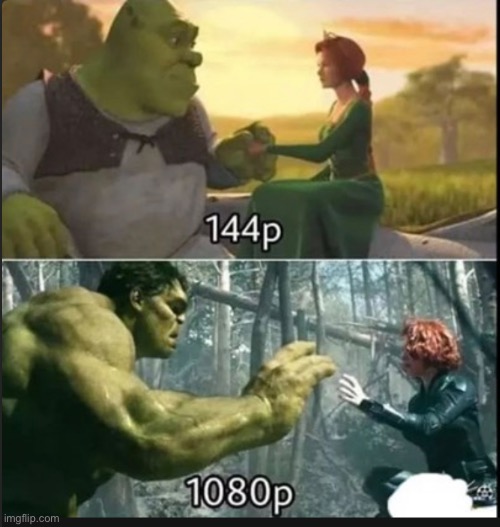 No context needed | image tagged in blank white template,funny,marvel,shrek | made w/ Imgflip meme maker