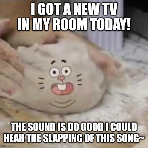 My image not a repost | I GOT A NEW TV IN MY ROOM TODAY! THE SOUND IS DO GOOD I COULD HEAR THE SLAPPING OF THIS SONG~ | image tagged in im a bun | made w/ Imgflip meme maker