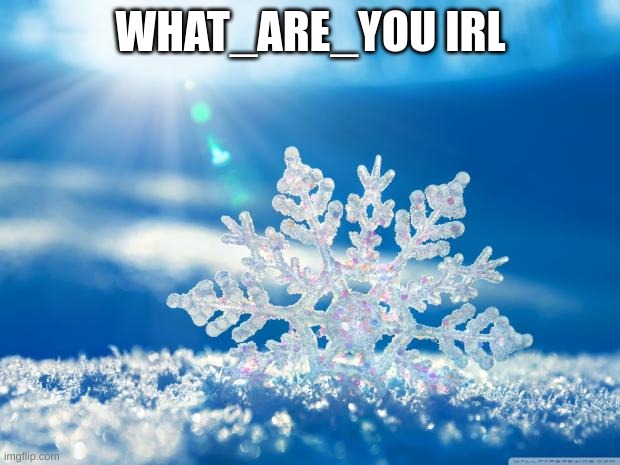 snowflake | WHAT_ARE_YOU IRL | image tagged in snowflake | made w/ Imgflip meme maker