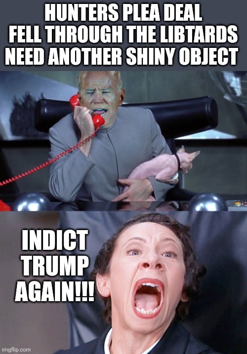 Biden | HUNTERS PLEA DEAL FELL THROUGH THE LIBTARDS NEED ANOTHER SHINY OBJECT; INDICT TRUMP AGAIN!!! | image tagged in biden | made w/ Imgflip meme maker