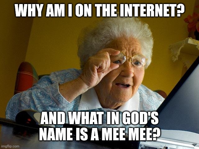 you. me. memechat. now | WHY AM I ON THE INTERNET? AND WHAT IN GOD'S NAME IS A MEE MEE? | image tagged in memes,a | made w/ Imgflip meme maker