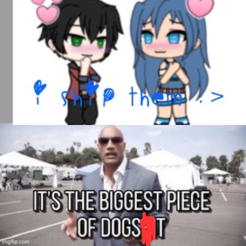 it's the biggest piece of dogshit | image tagged in it's the biggest piece of dogshit | made w/ Imgflip meme maker