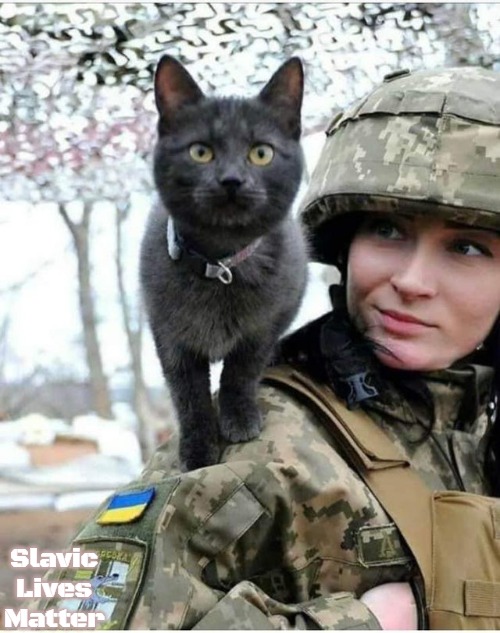 Ukrainian Cat | Slavic Lives Matter | image tagged in ukrainian cat,russo-ukrainian war,slavic | made w/ Imgflip meme maker