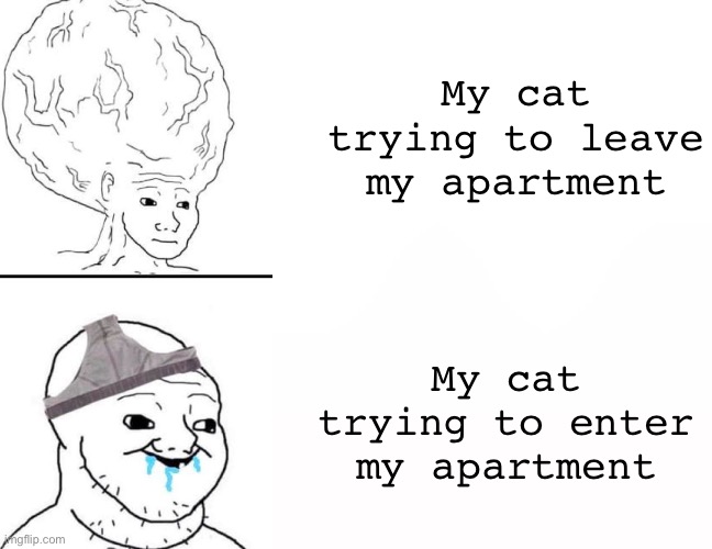 Why does she do that? | My cat trying to leave my apartment; My cat trying to enter my apartment | image tagged in dumb and genius wojak | made w/ Imgflip meme maker