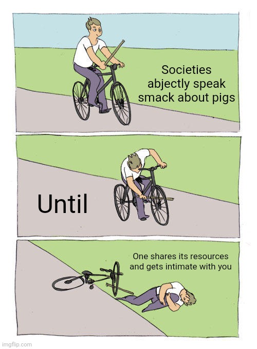 Duality of Pigs | Societies abjectly speak smack about pigs; Until; One shares its resources and gets intimate with you | image tagged in memes,bike fall,love,money,society | made w/ Imgflip meme maker