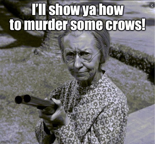 Granny Shotgun | I’ll show ya how to murder some crows! | image tagged in granny shotgun | made w/ Imgflip meme maker