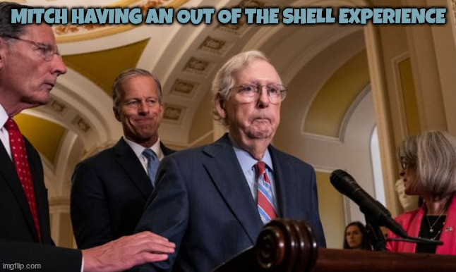 McConnell stops | MITCH HAVING AN OUT OF THE SHELL EXPERIENCE | image tagged in mitch mcconnell,turrtle,gop,out of body experience,senate minority leader | made w/ Imgflip meme maker