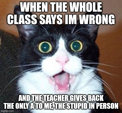 Surprised cat lol | WHEN THE WHOLE CLASS SAYS IM WRONG; AND THE TEACHER GIVES BACK THE ONLY A TO ME, THE STUPID IN PERSON | image tagged in surprised cat lol | made w/ Imgflip meme maker