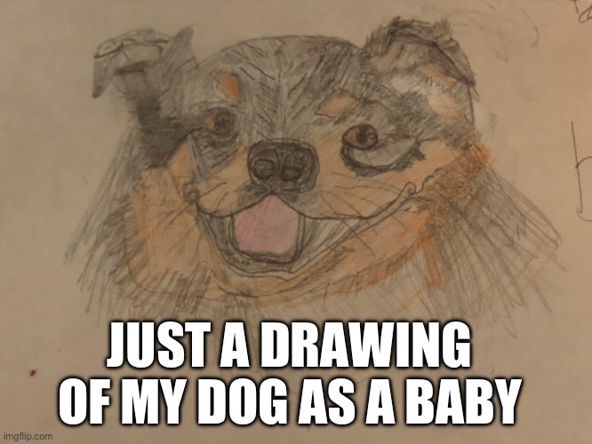 Have a great day | JUST A DRAWING OF MY DOG AS A BABY | image tagged in happy dog | made w/ Imgflip meme maker