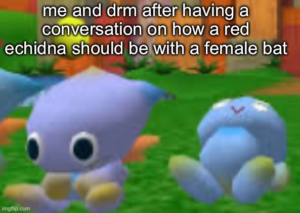 me and drm after having a conversation on how a red echidna should be with a female bat | made w/ Imgflip meme maker