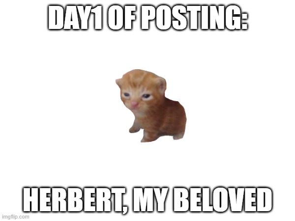 Image Title | DAY1 OF POSTING:; HERBERT, MY BELOVED | image tagged in herbert,satire | made w/ Imgflip meme maker