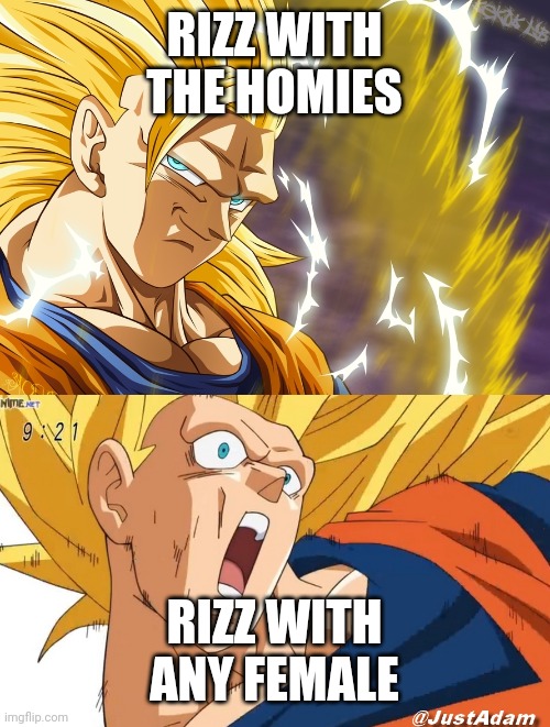 Homies | RIZZ WITH THE HOMIES; RIZZ WITH ANY FEMALE | image tagged in dragon ball super,homies,rizz,rizzilante | made w/ Imgflip meme maker