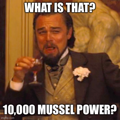 Laughing Leo Meme | WHAT IS THAT? 10,000 MUSSEL POWER? | image tagged in memes,laughing leo | made w/ Imgflip meme maker