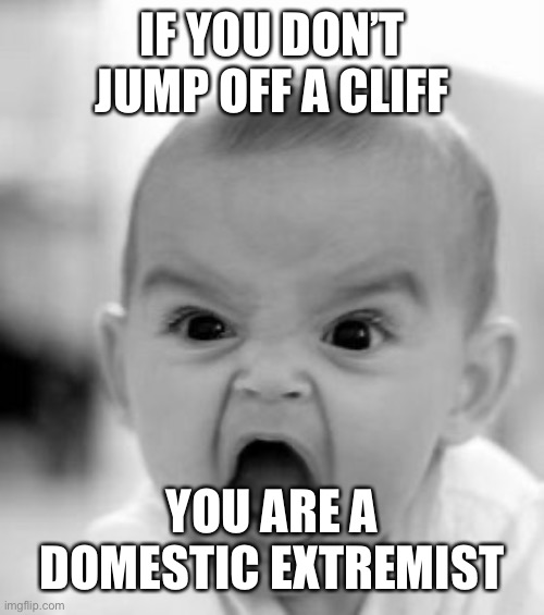 Angry Baby Meme | IF YOU DON’T JUMP OFF A CLIFF YOU ARE A DOMESTIC EXTREMIST | image tagged in memes,angry baby | made w/ Imgflip meme maker