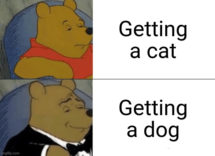 Dog better | Getting a cat; Getting a dog | image tagged in memes,tuxedo winnie the pooh | made w/ Imgflip meme maker