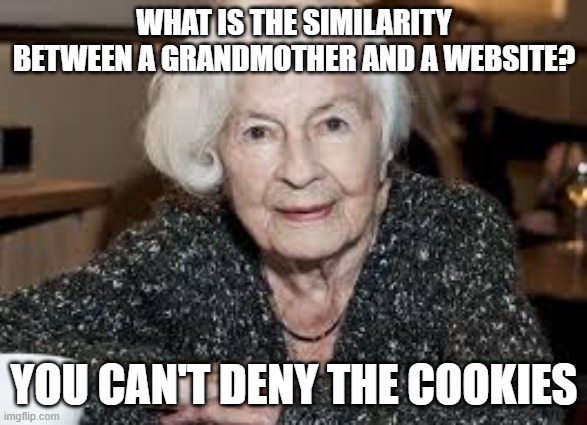 Grandmother | WHAT IS THE SIMILARITY BETWEEN A GRANDMOTHER AND A WEBSITE? YOU CAN'T DENY THE COOKIES | image tagged in grandmother | made w/ Imgflip meme maker