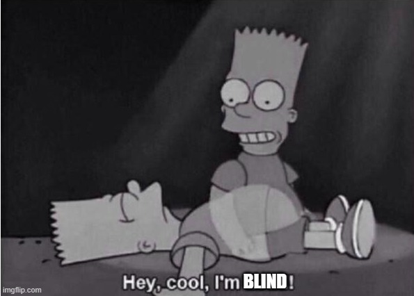 Hey, cool, I'm dead! | BLIND | image tagged in hey cool i'm dead | made w/ Imgflip meme maker