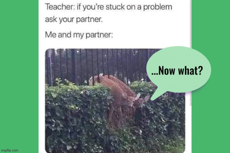 Hmm :/ | image tagged in swiggys-back | made w/ Imgflip meme maker